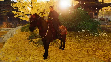 Jin's Intro Horse