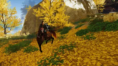 Jin's Intro Horse