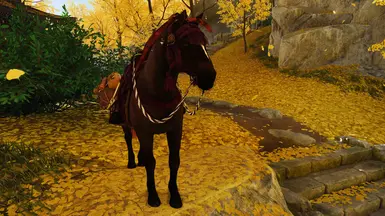 Jin's Intro Horse
