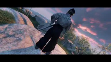 Ronin Version