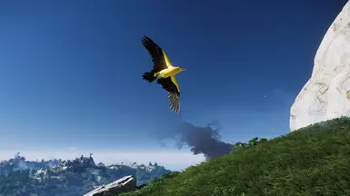 Invisible Golden Birds