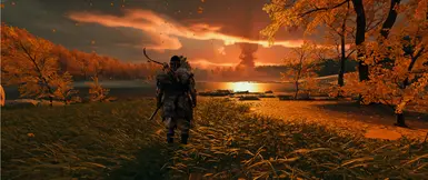 Reshade