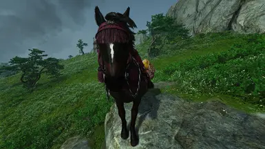 Intro Horse