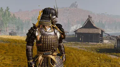 Chest 2 - light / helmet - bright