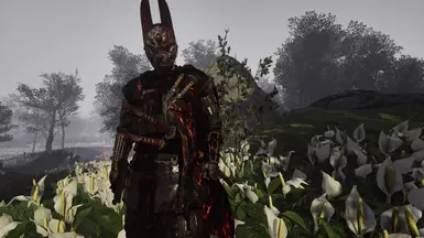 Armor V1