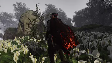 Cloak