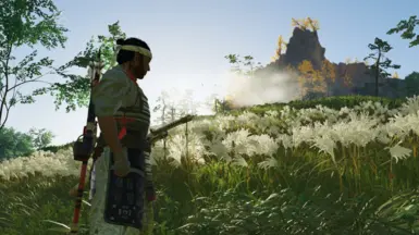 Game Defaults (sharper looking foliage and contrasty shadows)