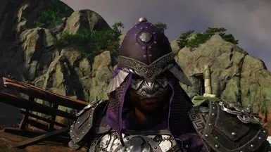 recolored lower world helm in purple and silver