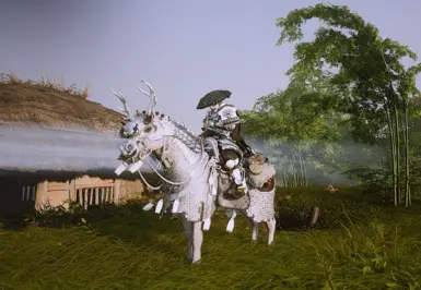 White Horse Armor