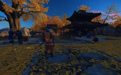Field of View Modifier