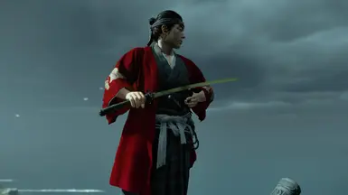 Kensei Adachi dye from legends plus custom dye
