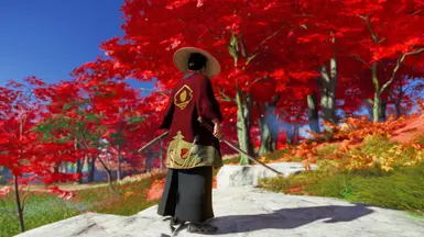 Kensei- Shimura
