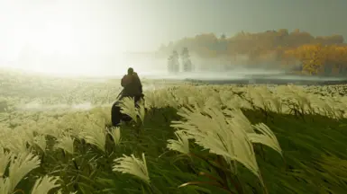 Fresh new game start