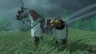 horse armor