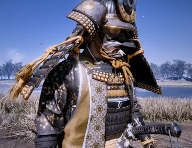 Gosaku Sakai Armor V2