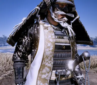 Gosaku Sakai Armor