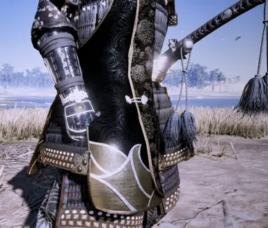Gosaku Sakai Armor