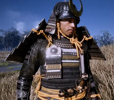 Samurai Sakai Armor