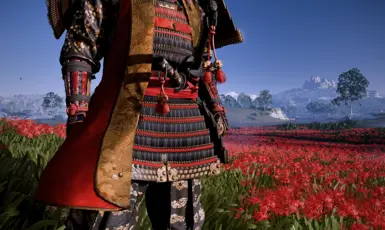 V1 Jacket Rank 1