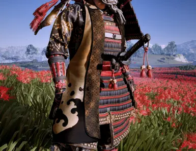 Jacket Rank 2