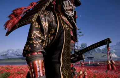 Jacket Rank 3