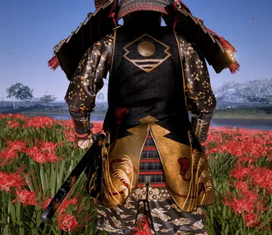 Samurai of the Shimura clan