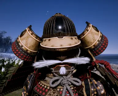 Gosaku helmet without horns or crest
