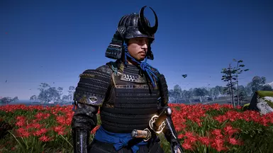 Black and blue belt