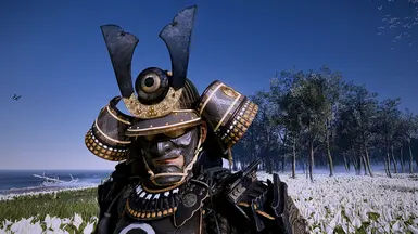 Optional Gosaku Helmet