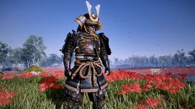 Rank 3, in the image follow the rope of the Gosaku helmet