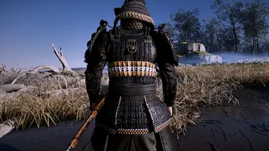 Optional Rank 1 no ropes