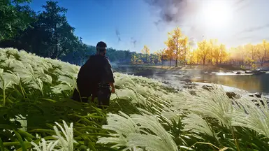 Reshade ON