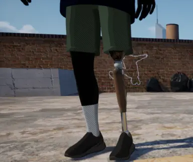 Prosthetic Leg