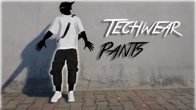 Techwear Cargo Pants