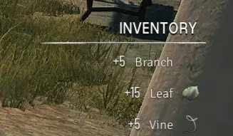 LootX5 And Exp X5