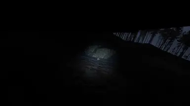 In the forest at night