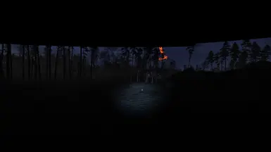 In the forest at night