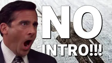 No-Intro (Skip Startup - Splash Videos)