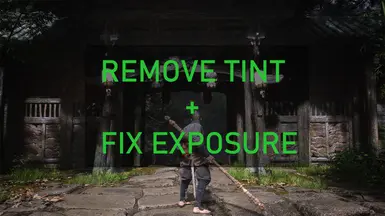 Fix Tint and Exposure