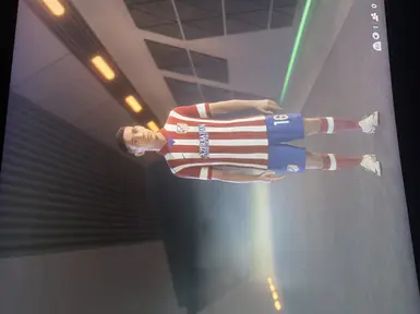 atl madrid 12/13