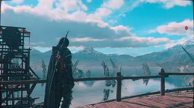 Panavison Reshade