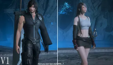 Cloudy Wolf And Tifa Classic Outfit