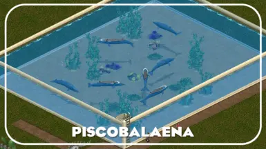 Piscobalaena (New Species)