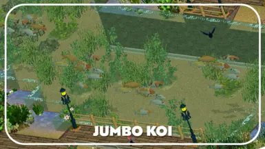 Jumbo Koi