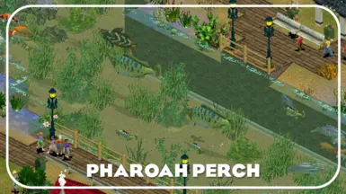 Pharoah Perch
