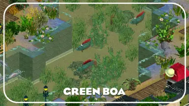 Green Boa