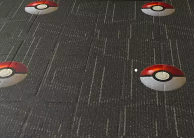 Carpet/Floor