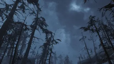 Vanilla