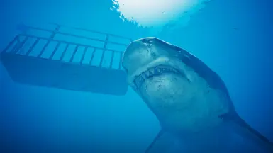 Megalodon