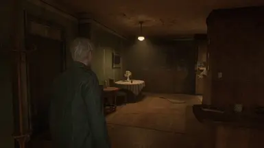 No Reshade effect